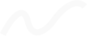 imgi 77 Vector 3 300x126 1
